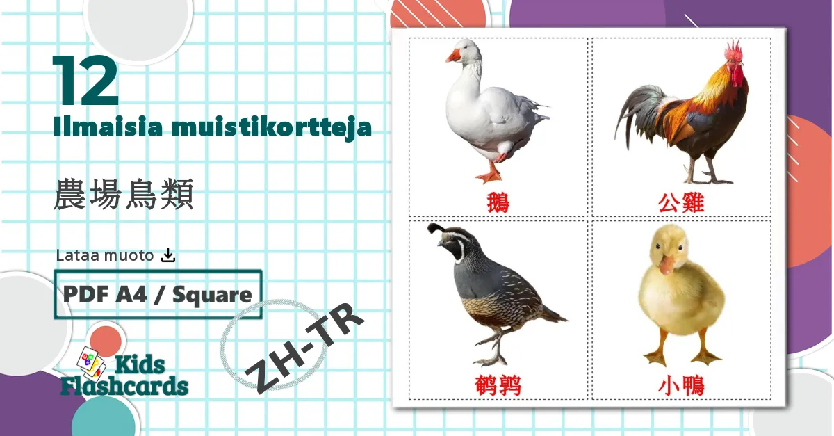 12 農場鳥類 lasten kuvakortit