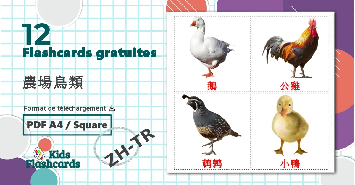 12 Imagiers 農場鳥類