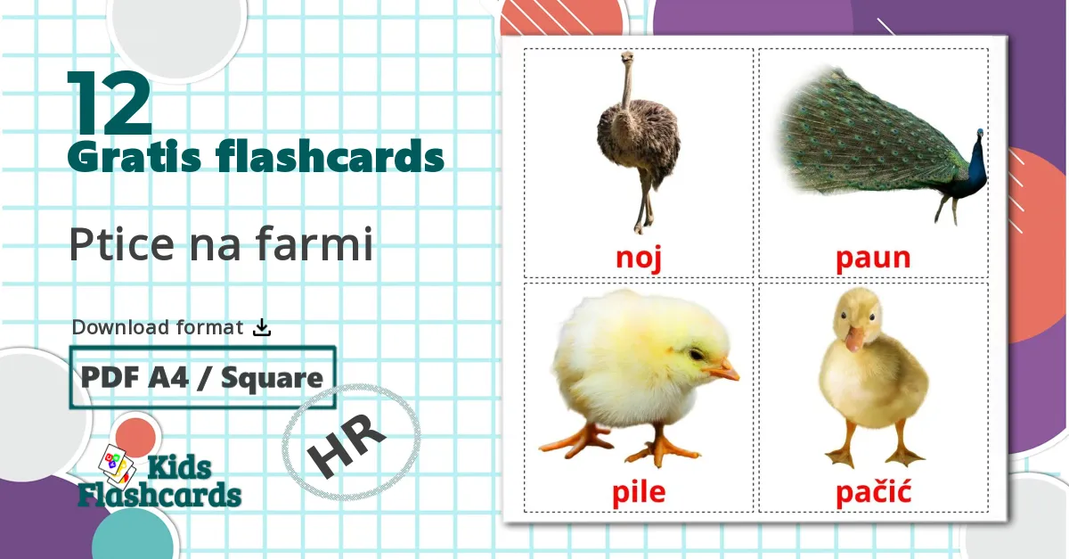 12 Ptice na farmi billedkort for børn