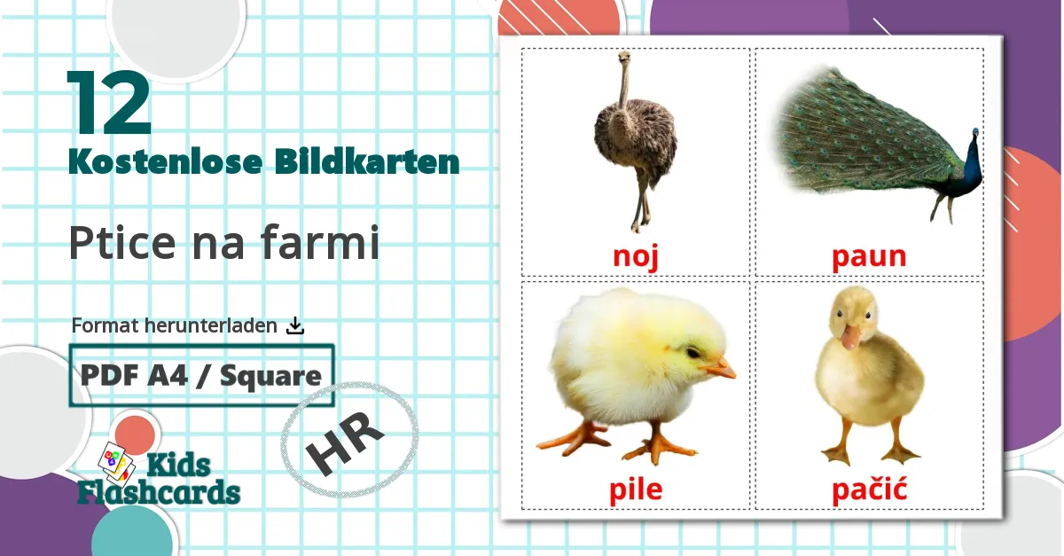 12 Bildkarten für Ptice na farmi