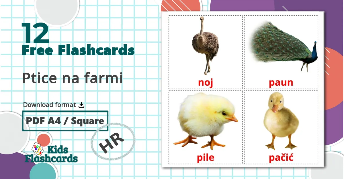 12 Farm birds flashcards