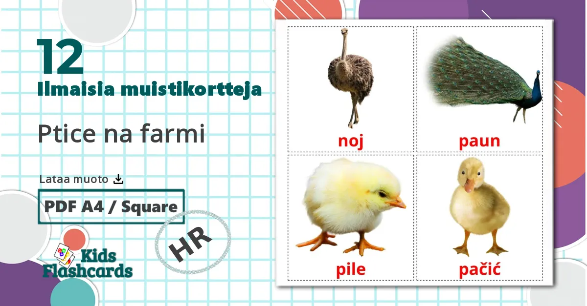 12 Ptice na farmi lasten kuvakortit