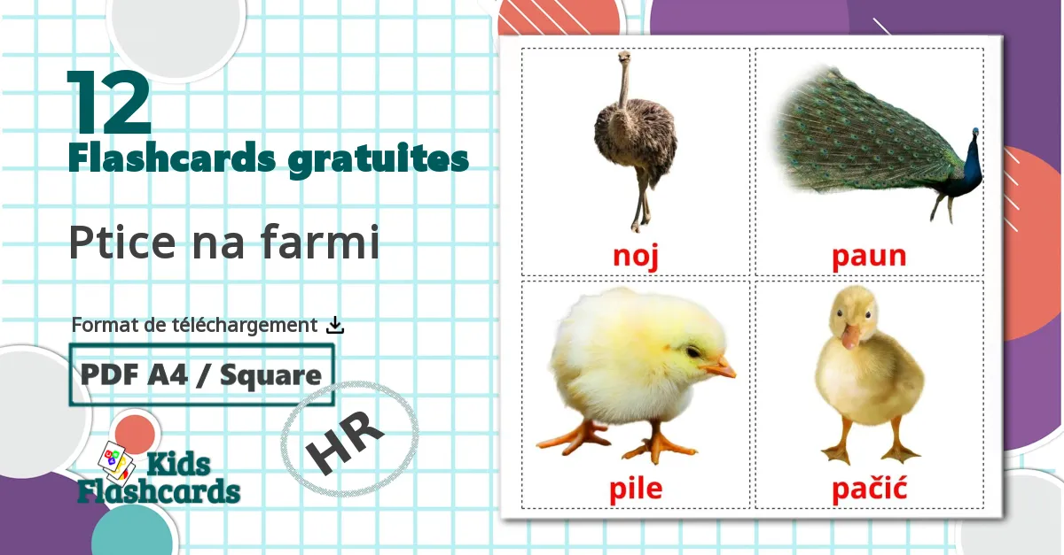 12 Imagiers Les Oiseaux de Ferme