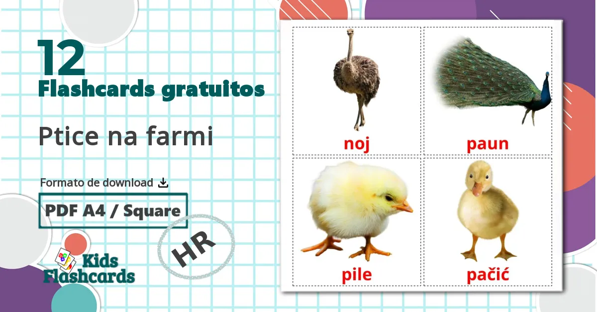 12 Flashcards de Aves da Quinta