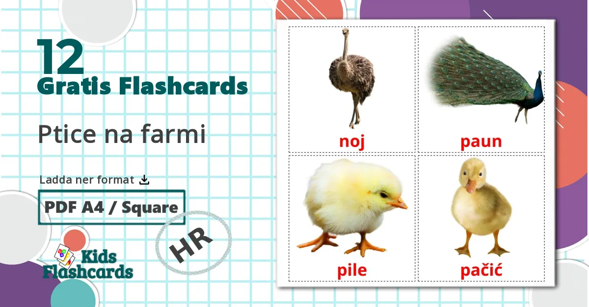 12 Ptice na farmi bildkort för barn