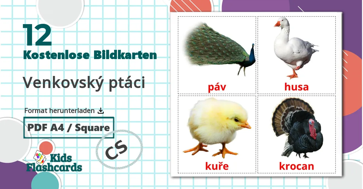 12 Bildkarten für Venkovský ptáci