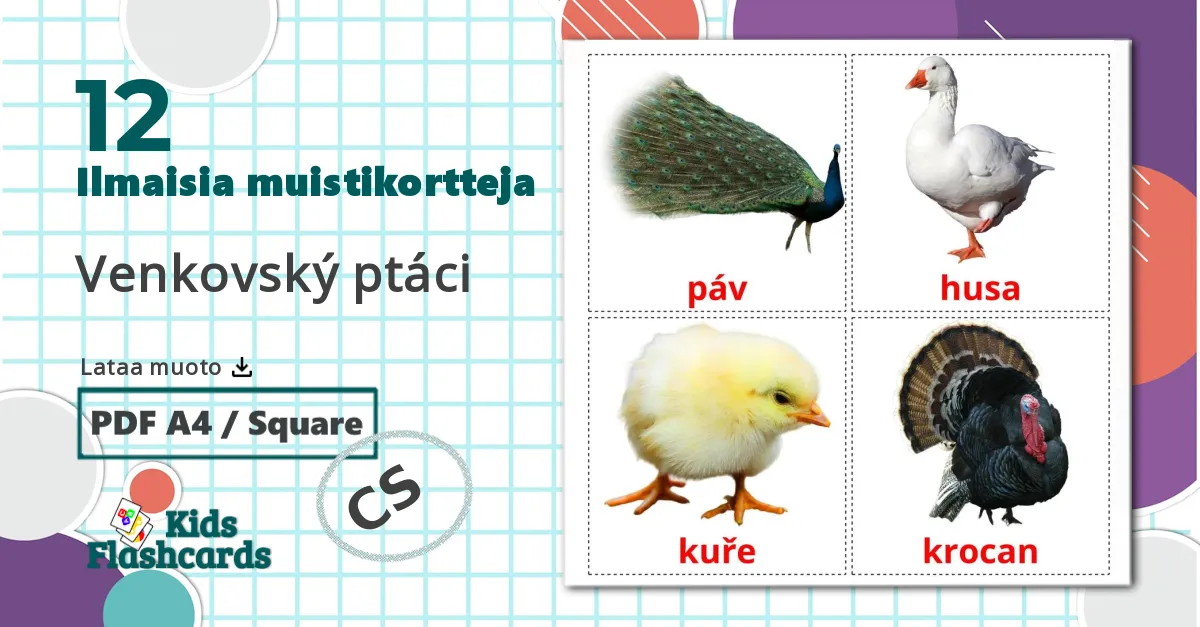 12 Venkovský ptáci lasten kuvakortit