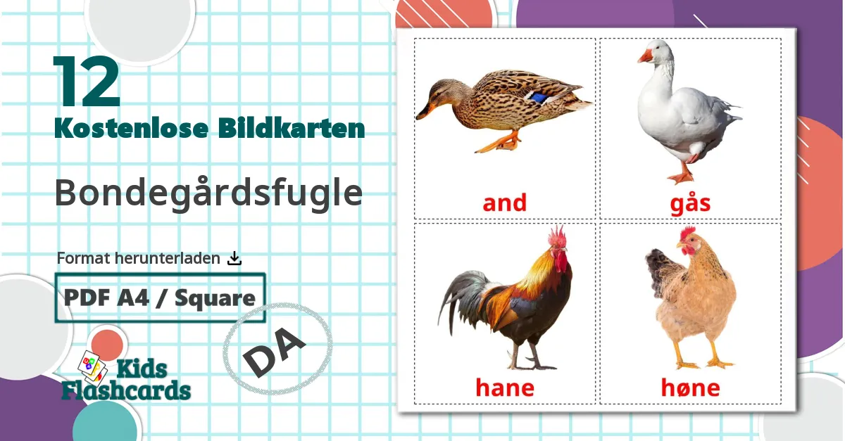 12 Bildkarten für Bondegårdsfugle