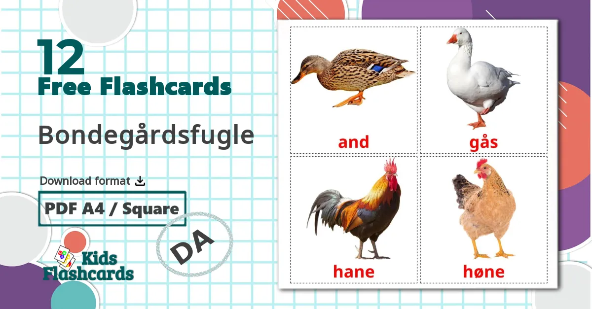 12 Bondegårdsfugle flashcards