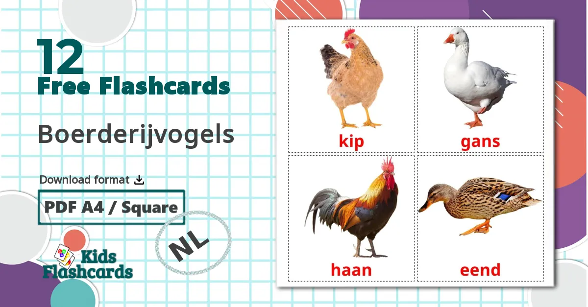 12 Boerderijvogels flashcards