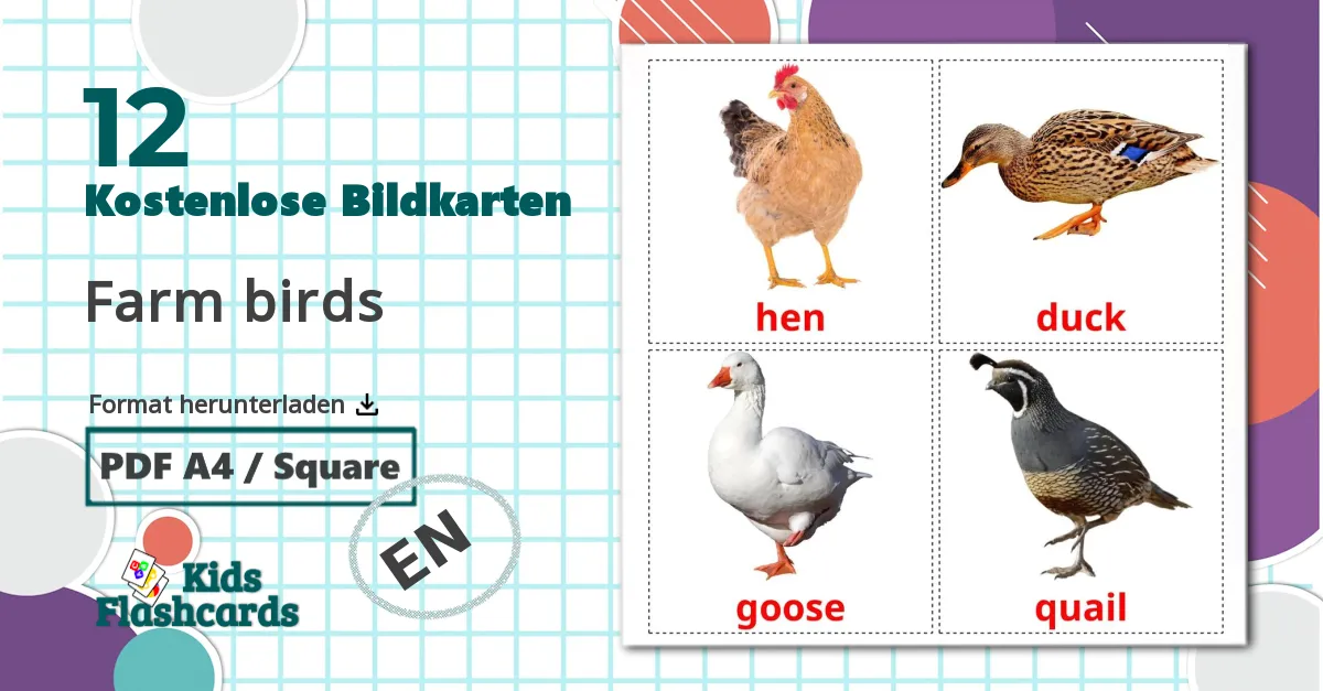 Bildkarten für Bauernhof Vögel