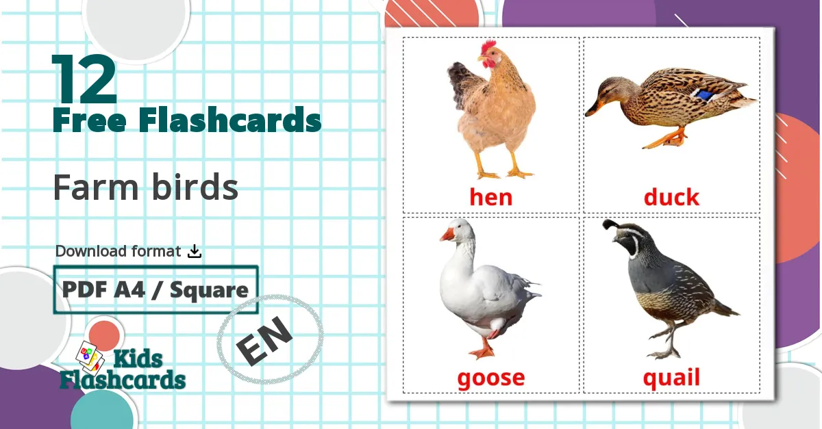 Farm birds flashcards