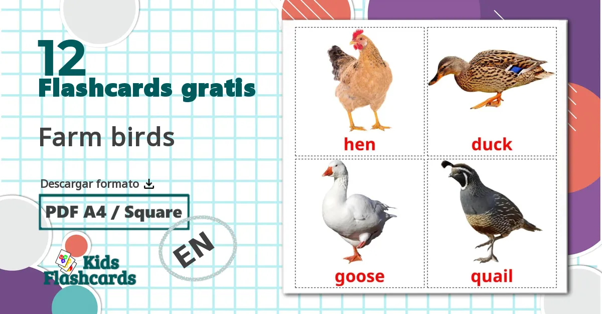 12 tarjetas didacticas de Aves de granja