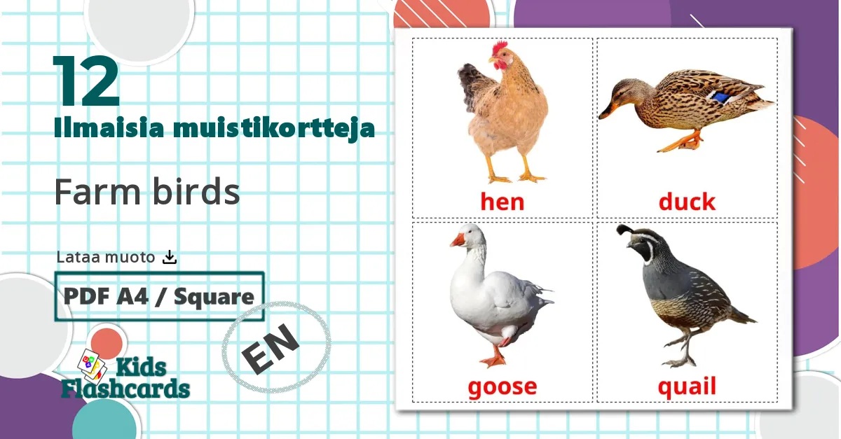 12 Farm birds lasten kuvakortit