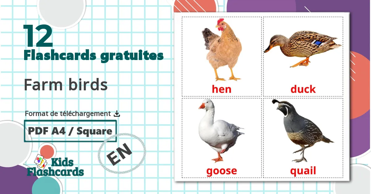 Les Oiseaux de Ferme - cartes de vocabulaire anglais