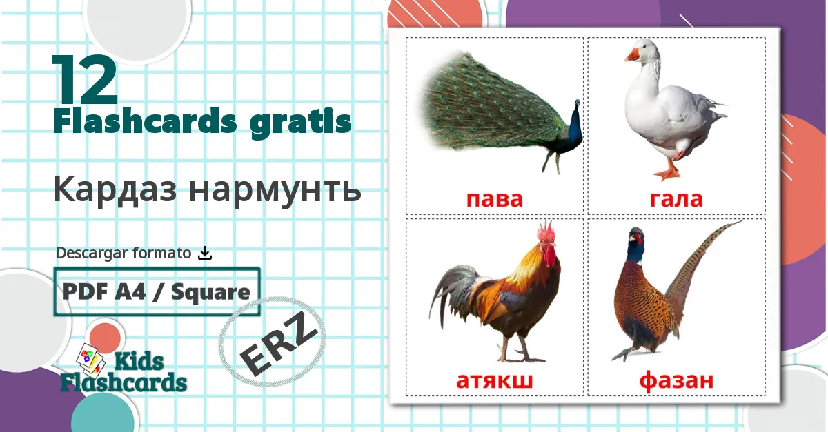 12 tarjetas didacticas de Aves de granja