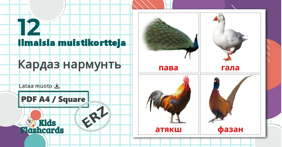 12 Кардаз нармунть lasten kuvakortit