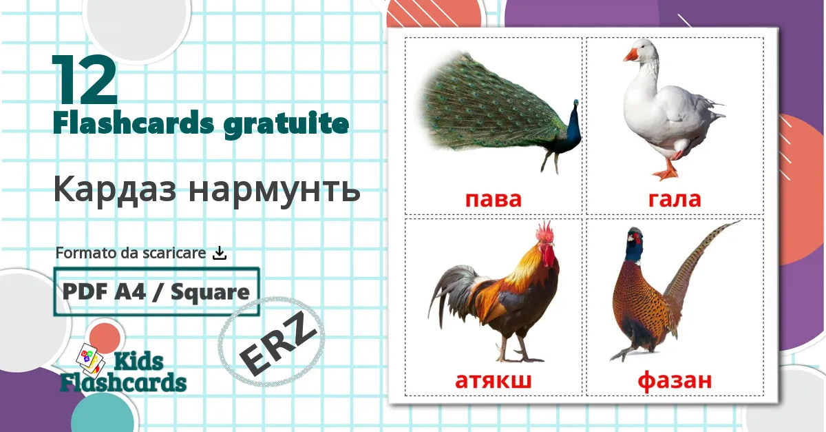 12 flashcards di Кардаз нармунть