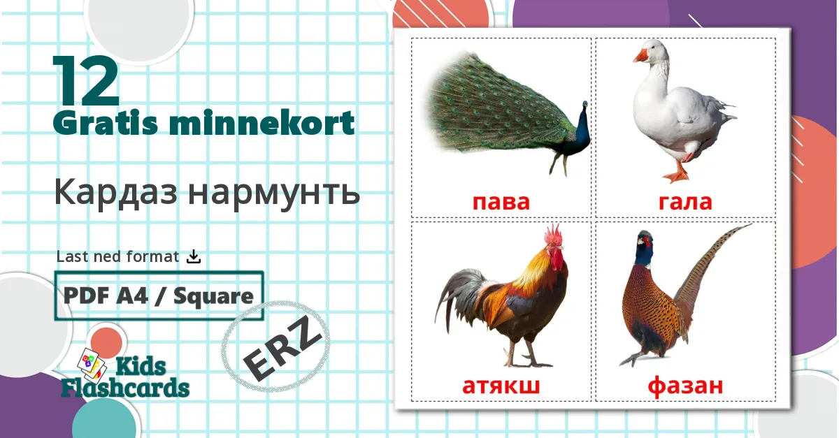 12 Кардаз нармунть bildekort