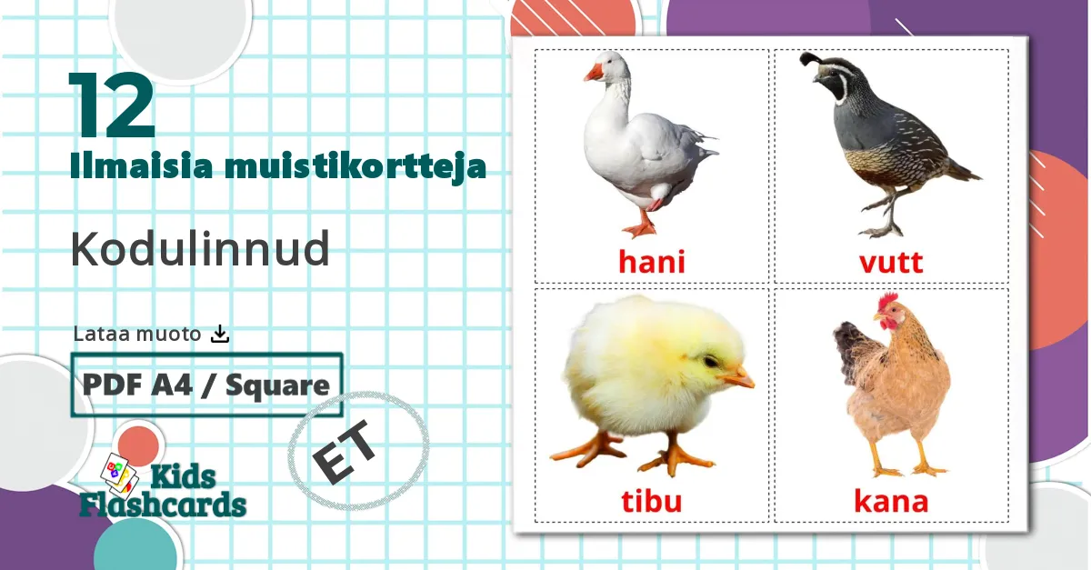 12 Kodulinnud lasten kuvakortit