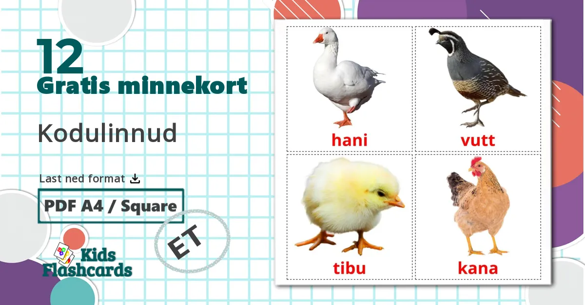12 Kodulinnud bildekort