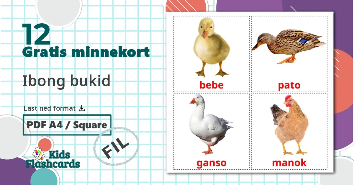 12 Ibong bukid bildekort