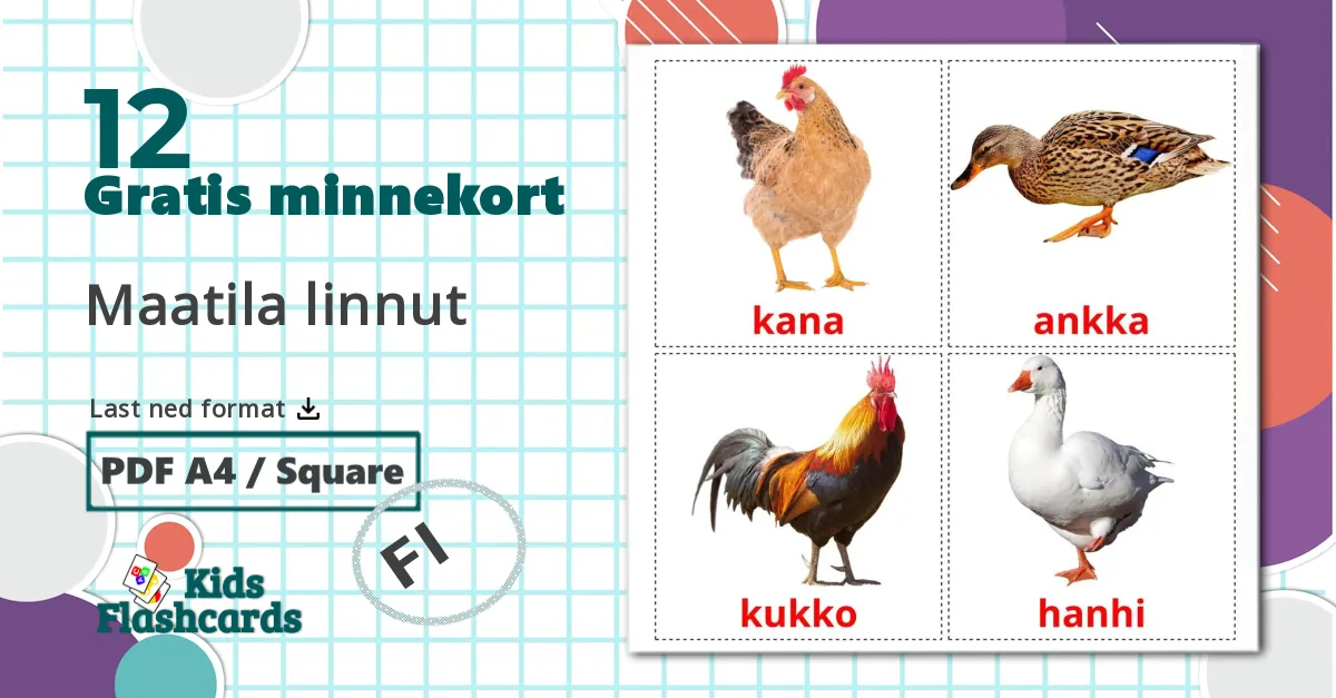 12 Maatila linnut bildekort