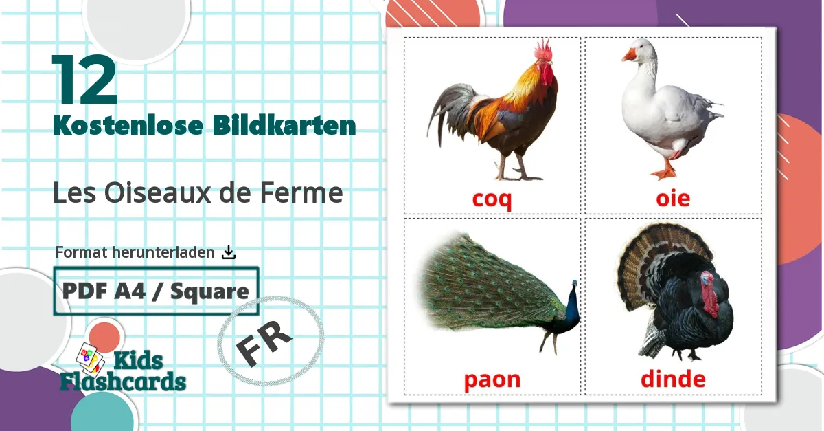 12 Bildkarten für Les Oiseaux de Ferme