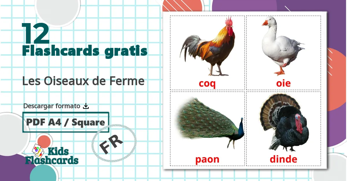 12 tarjetas didacticas de Les Oiseaux de Ferme