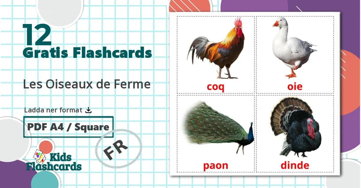 12 Les Oiseaux de Ferme bildkort för barn
