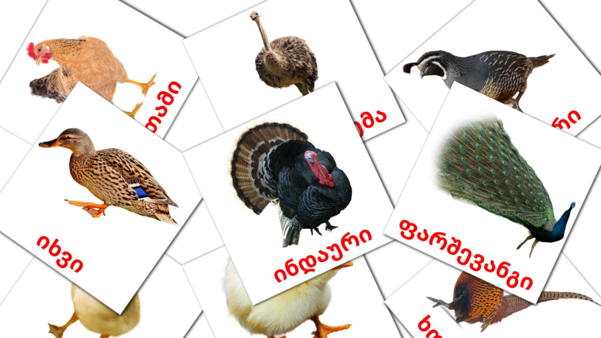 tarjetas didacticas de ფერმის ფრინველები