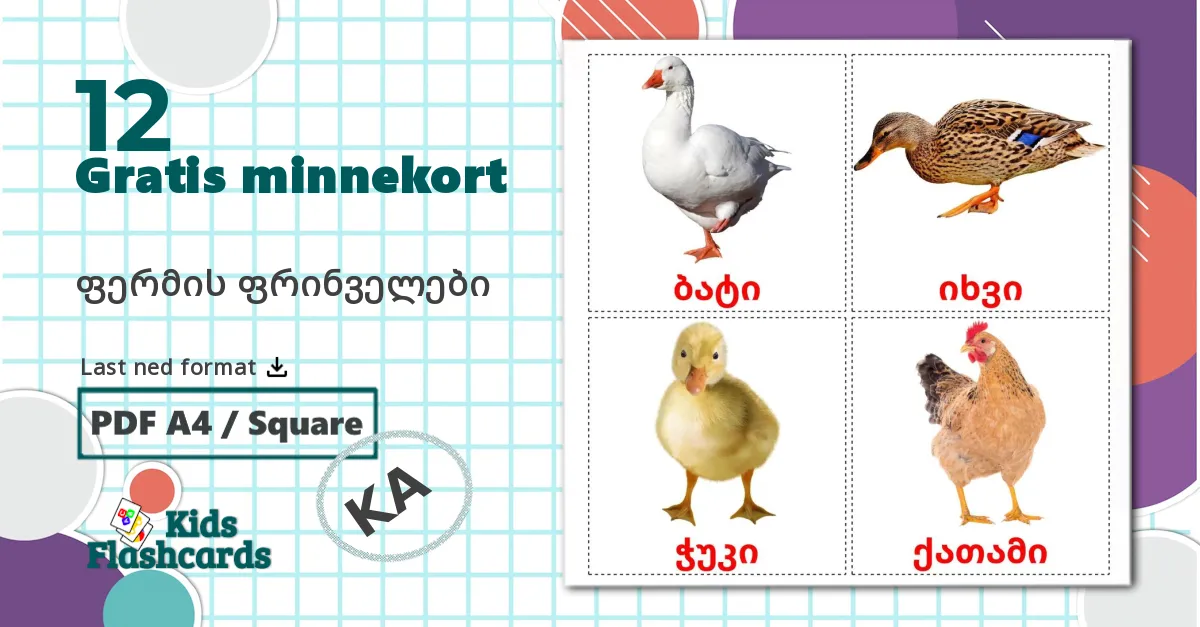 12 ფერმის ფრინველები bildekort