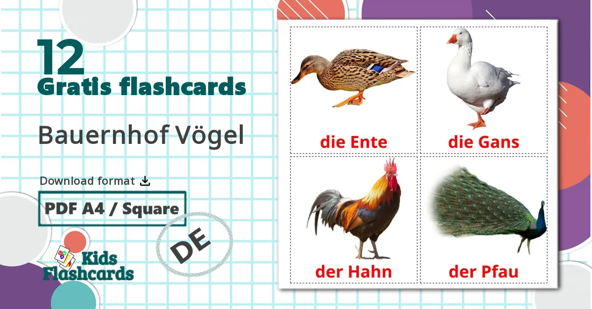 12 Bauernhof Vögel billedkort for børn