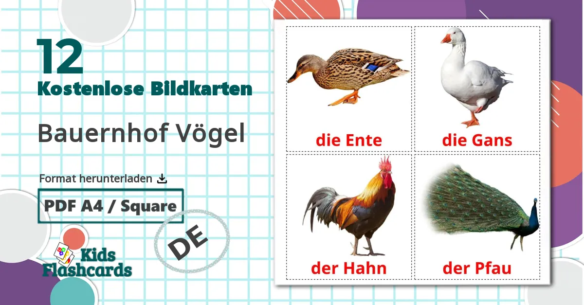 12 Bildkarten für Bauernhof Vögel