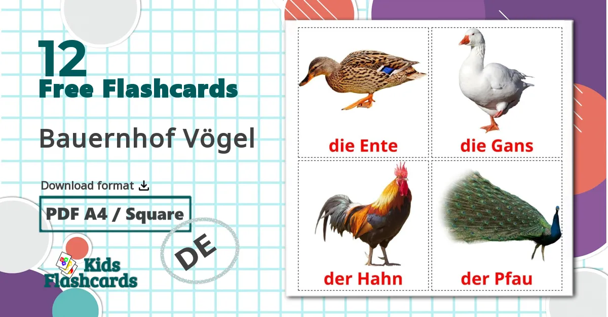 12 Bauernhof Vögel flashcards