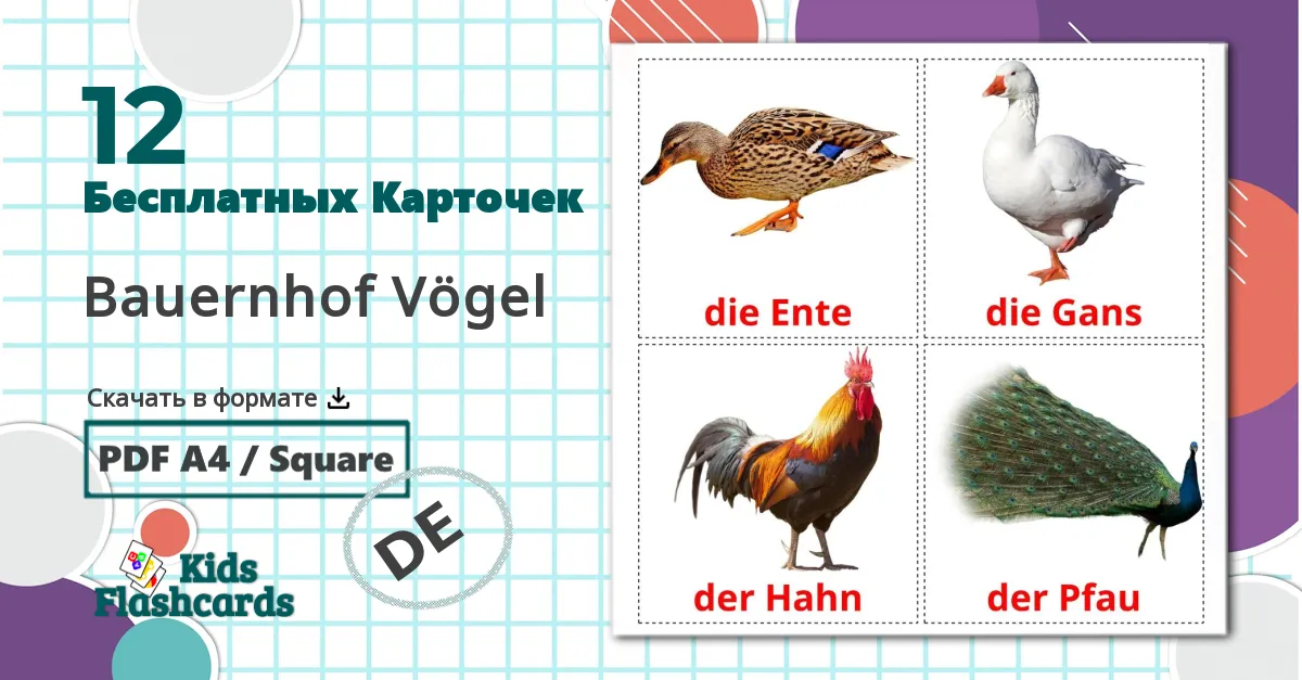 12 Карточки Домана Bauernhof Vögel