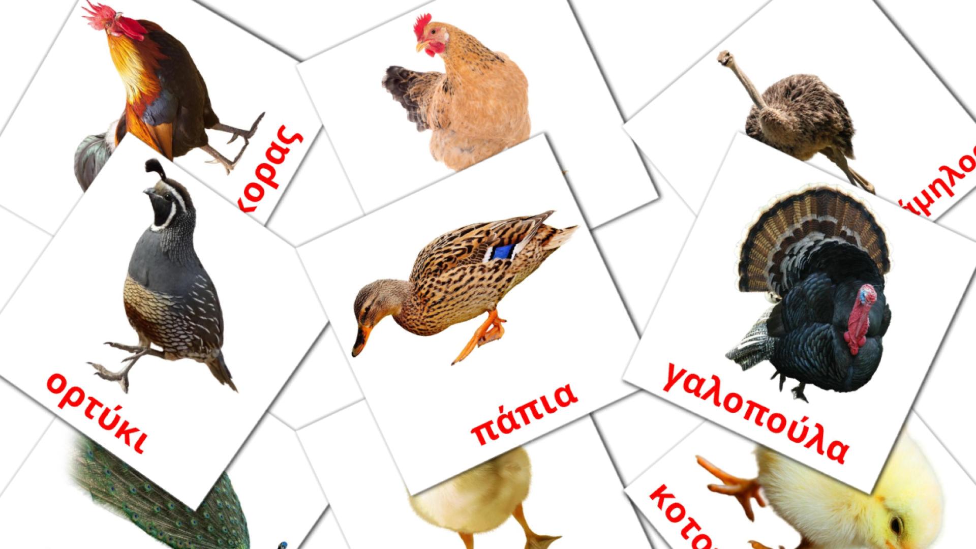 flashcards di πουλιά φάρμας