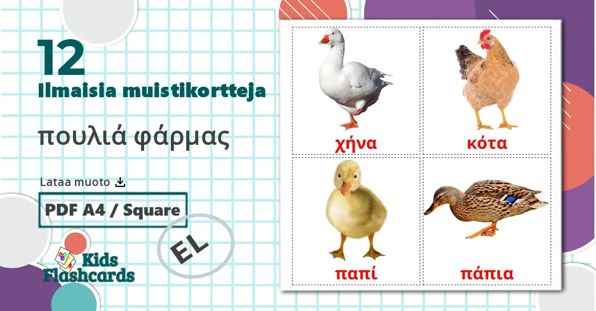12 πουλιά φάρμας lasten kuvakortit