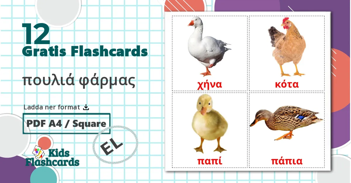 12 πουλιά φάρμας bildkort för barn