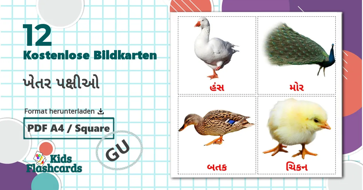 12 Bildkarten für Bauernhof Vögel