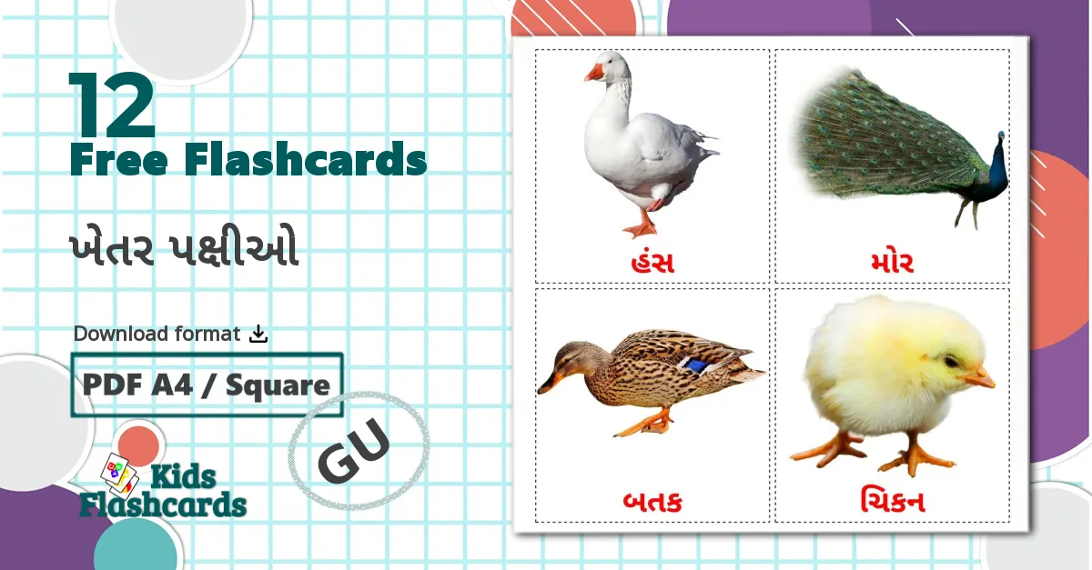 12 Farm birds flashcards