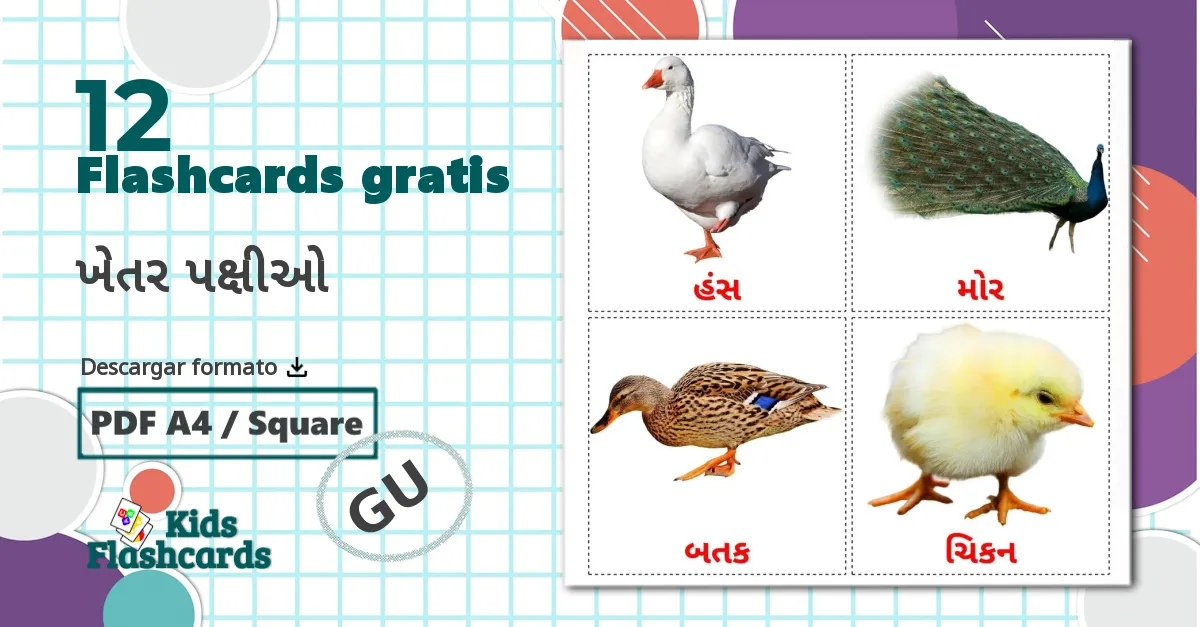 12 tarjetas didacticas de Aves de granja