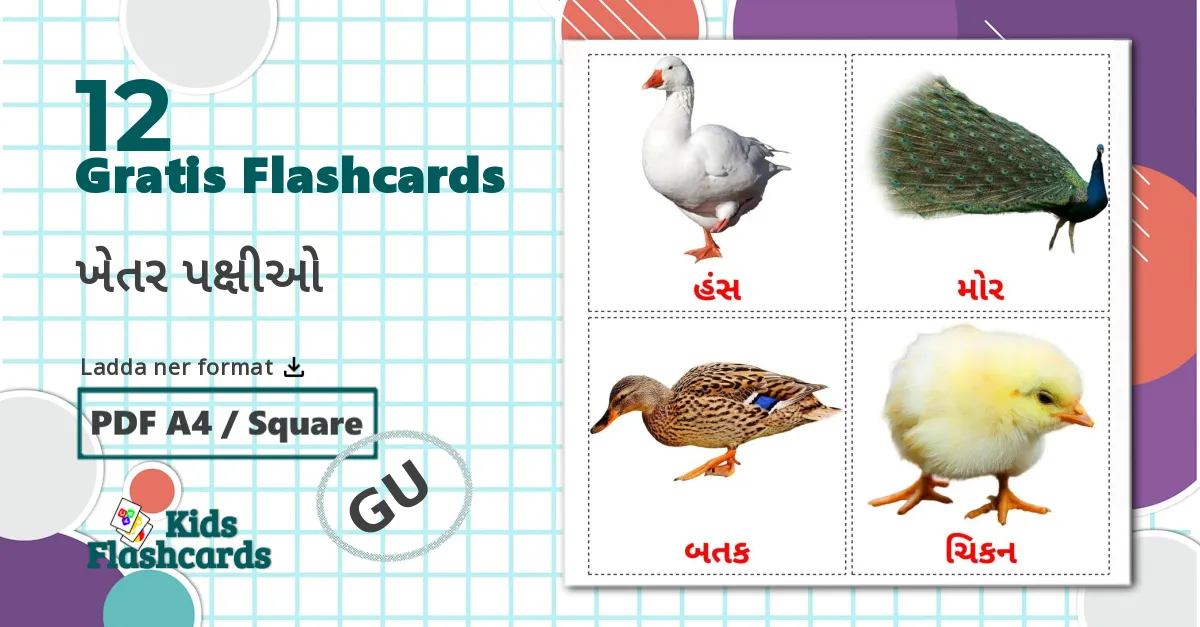 12 ખેતર પક્ષીઓ bildkort för barn
