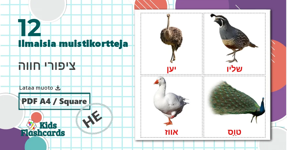 12 Maatila linnut lasten kuvakortit