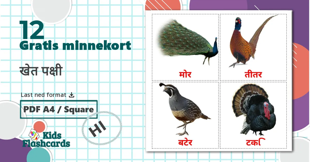 12 खेत पक्षी bildekort
