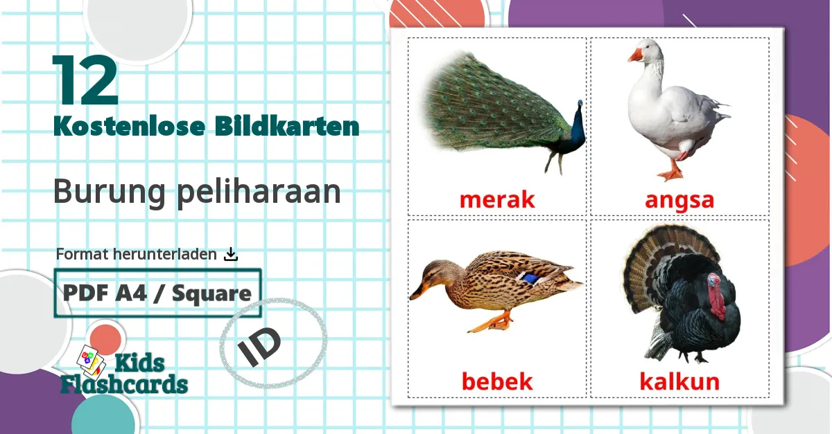 12 Bildkarten für Bauernhof Vögel