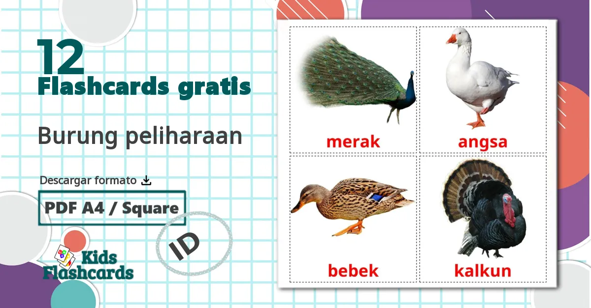 12 tarjetas didacticas de Burung peliharaan