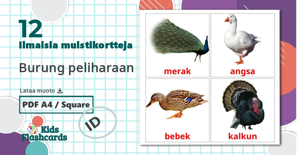 12 Burung peliharaan lasten kuvakortit