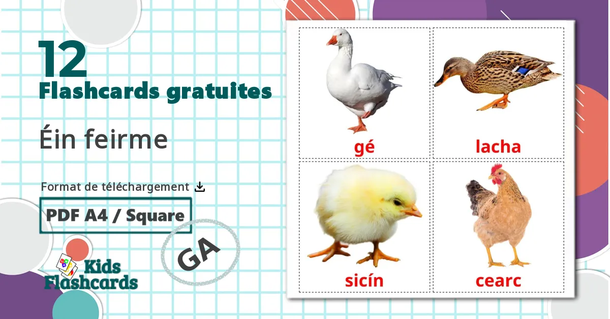 12 Imagiers Les Oiseaux de Ferme