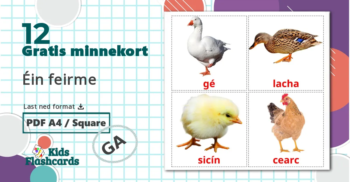 12 Gårdsfugler bildekort